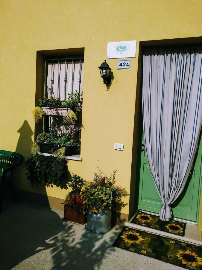 B&B Peschi In Fiore Valeggio sul Mincio Exteriör bild